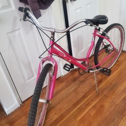 Schwinn Lulu Bike