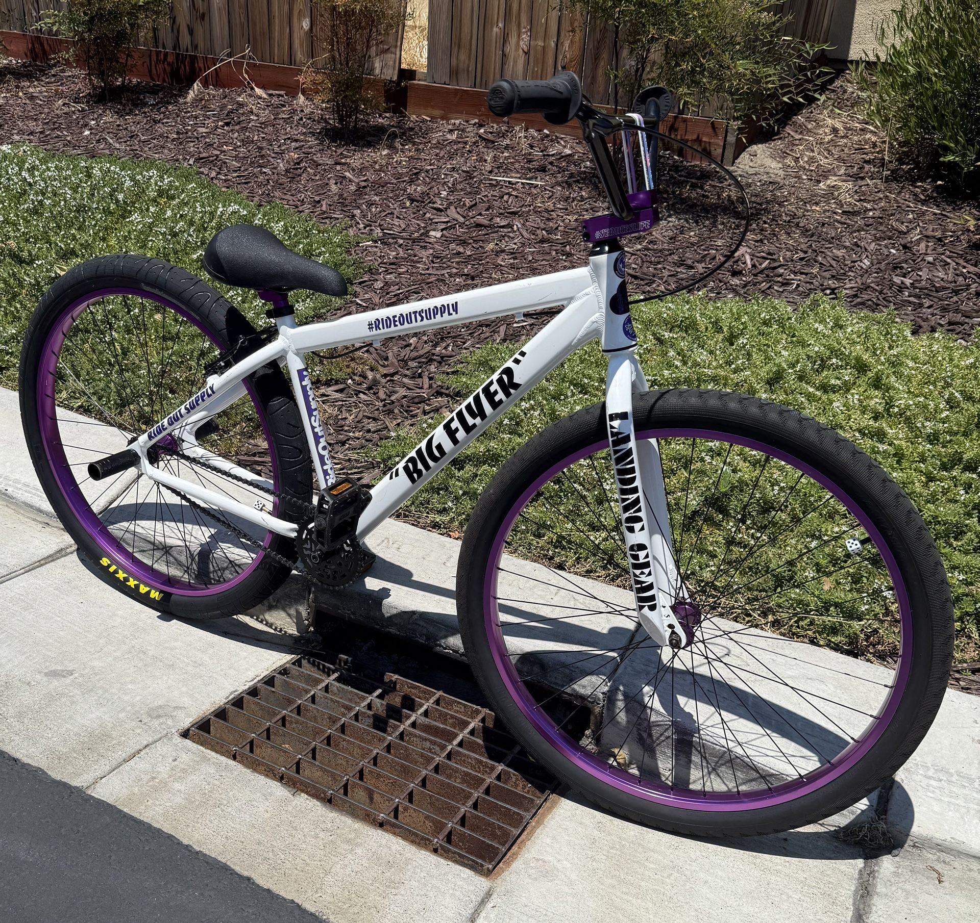 “ Big Flyer “ SE Bike