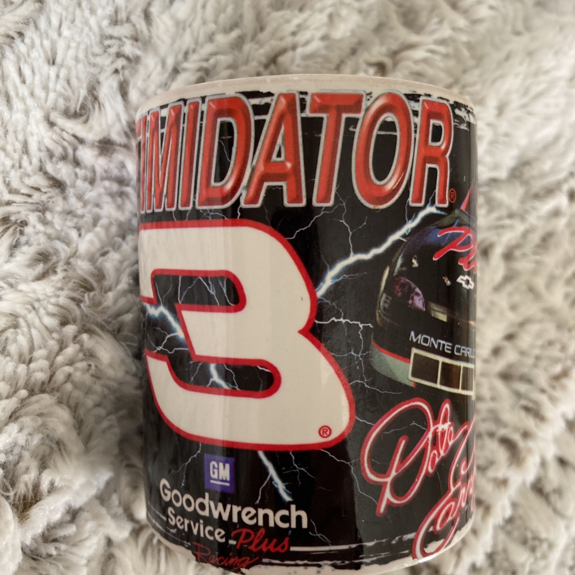 Dale Earnhardt 3