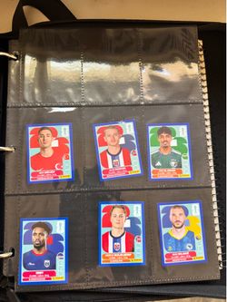 Panini blue border stickers
