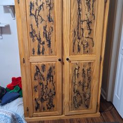 Armoire With Shelves And 2doors That Have Been Fractured