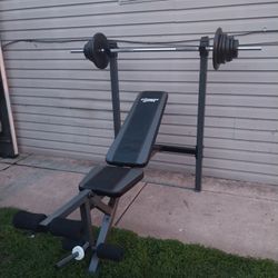 Bench /5ft Bar /weights /clips 