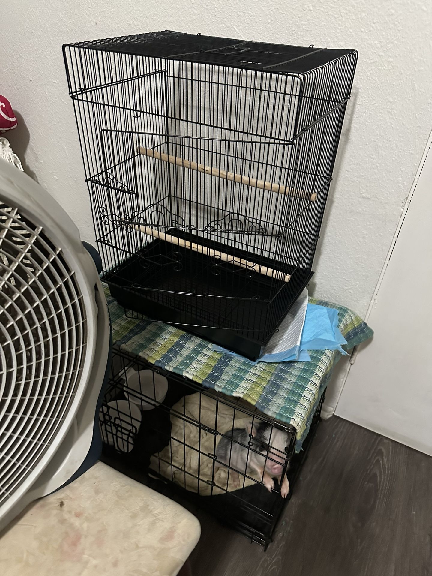 Pet Cage For Birds 🦅 Or Parrots 🦜 Like New Condition $35