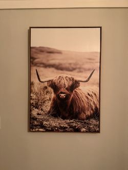 Cow Wall Decor