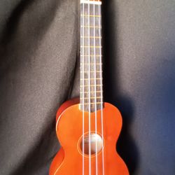 Huawind Soprano Ukulele 21 Inches 