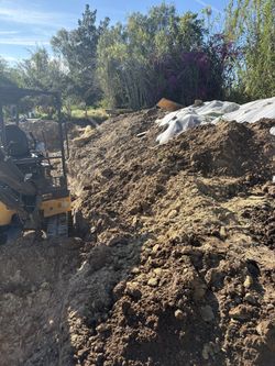 Free free clean dirt Free deliverty