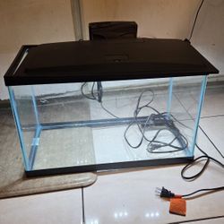 Aquarium 20x10 Inches