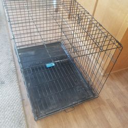 Dogs Cennel