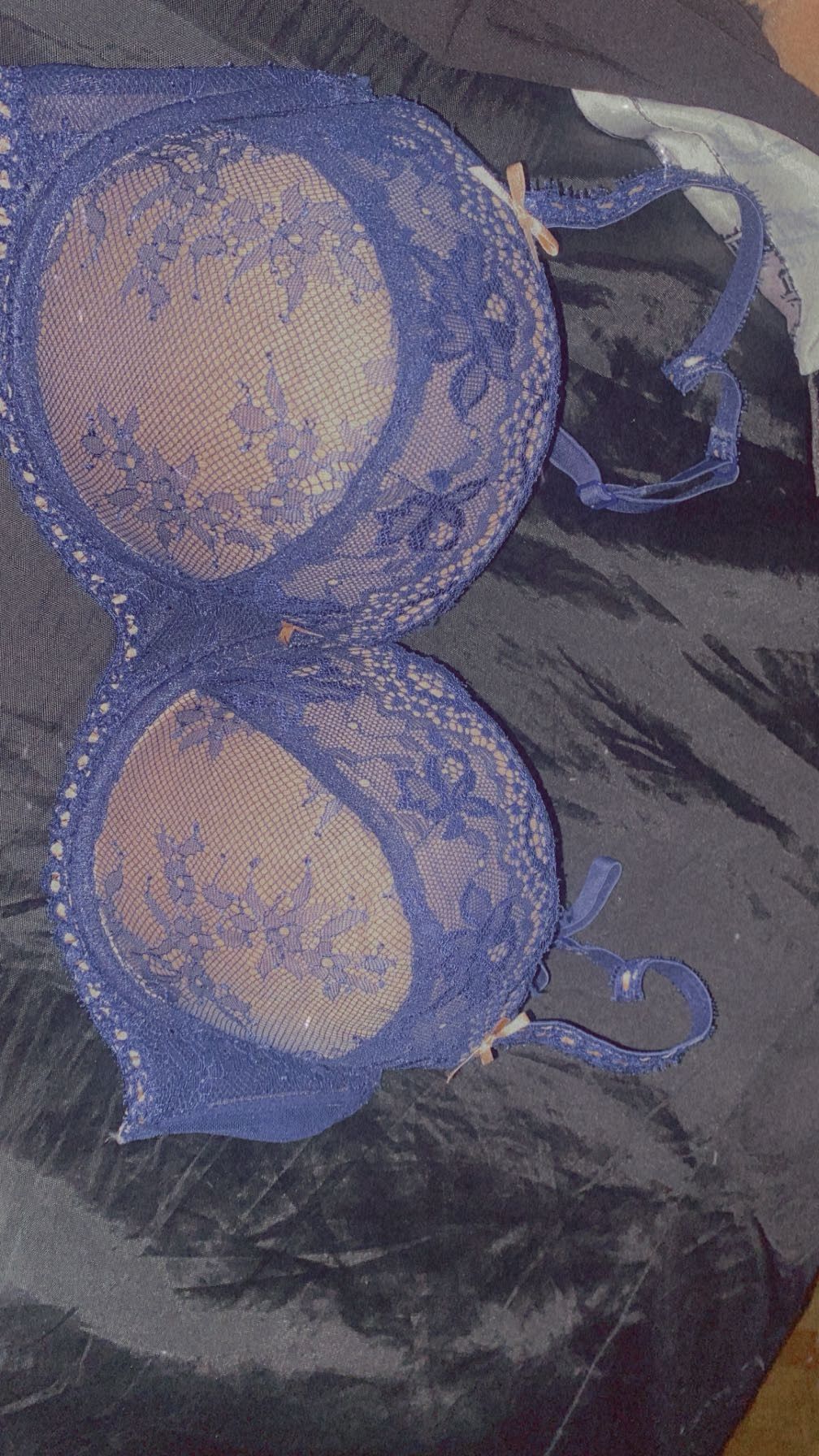 36d Bra