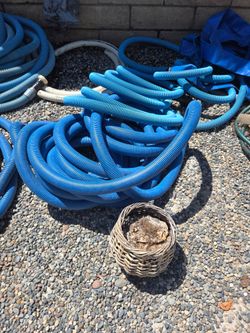 Carpet cleaning hose/2" industrial