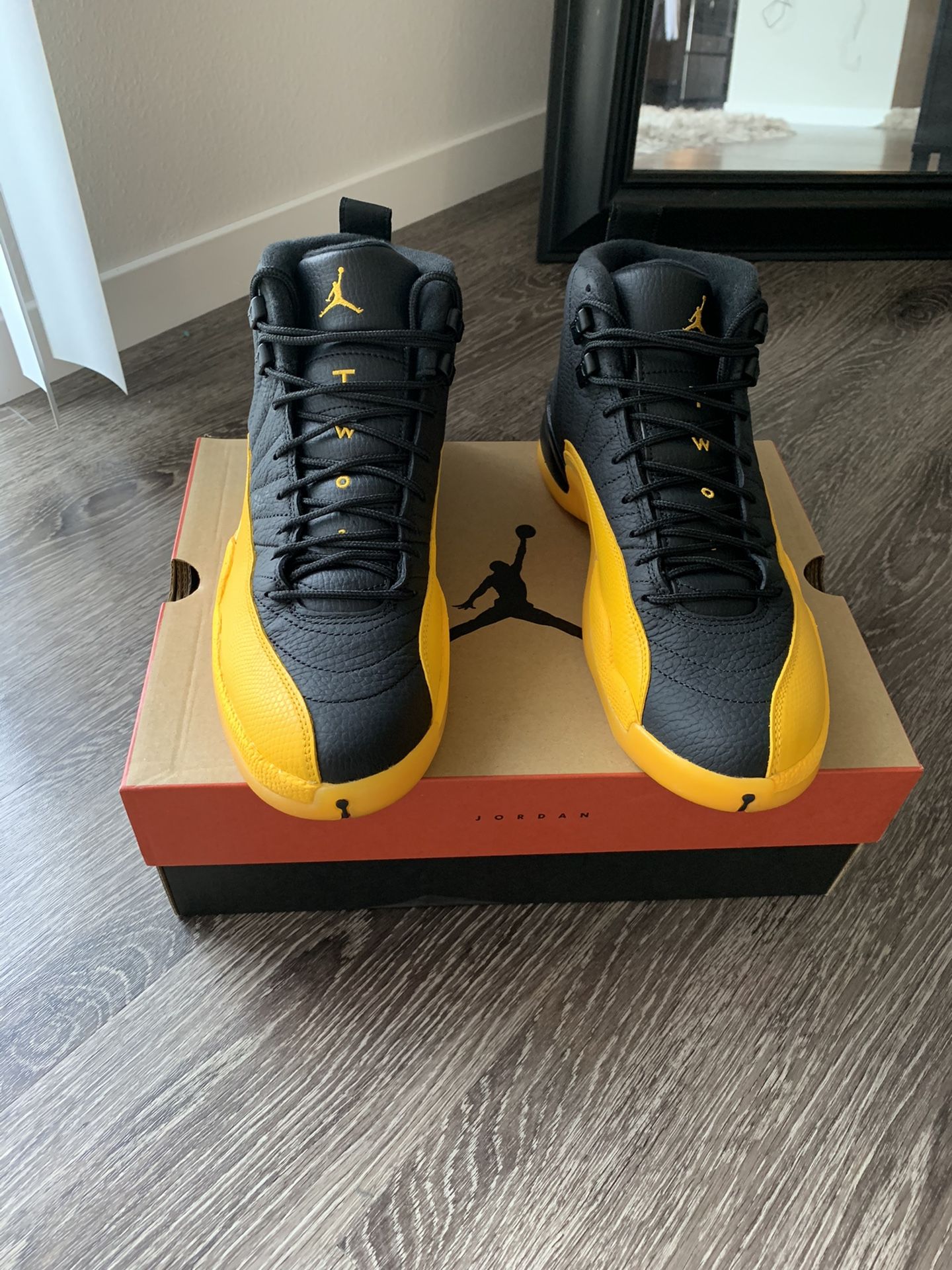 Jordan Retro 12