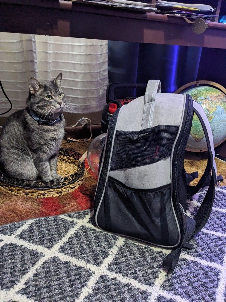 The Fat Cat's mini Cat Backpack