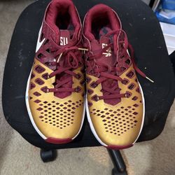 Men’s - FSU NIKE SHOES