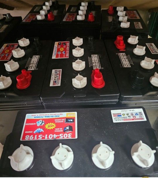 8volt, new battery with 1 year warranty 