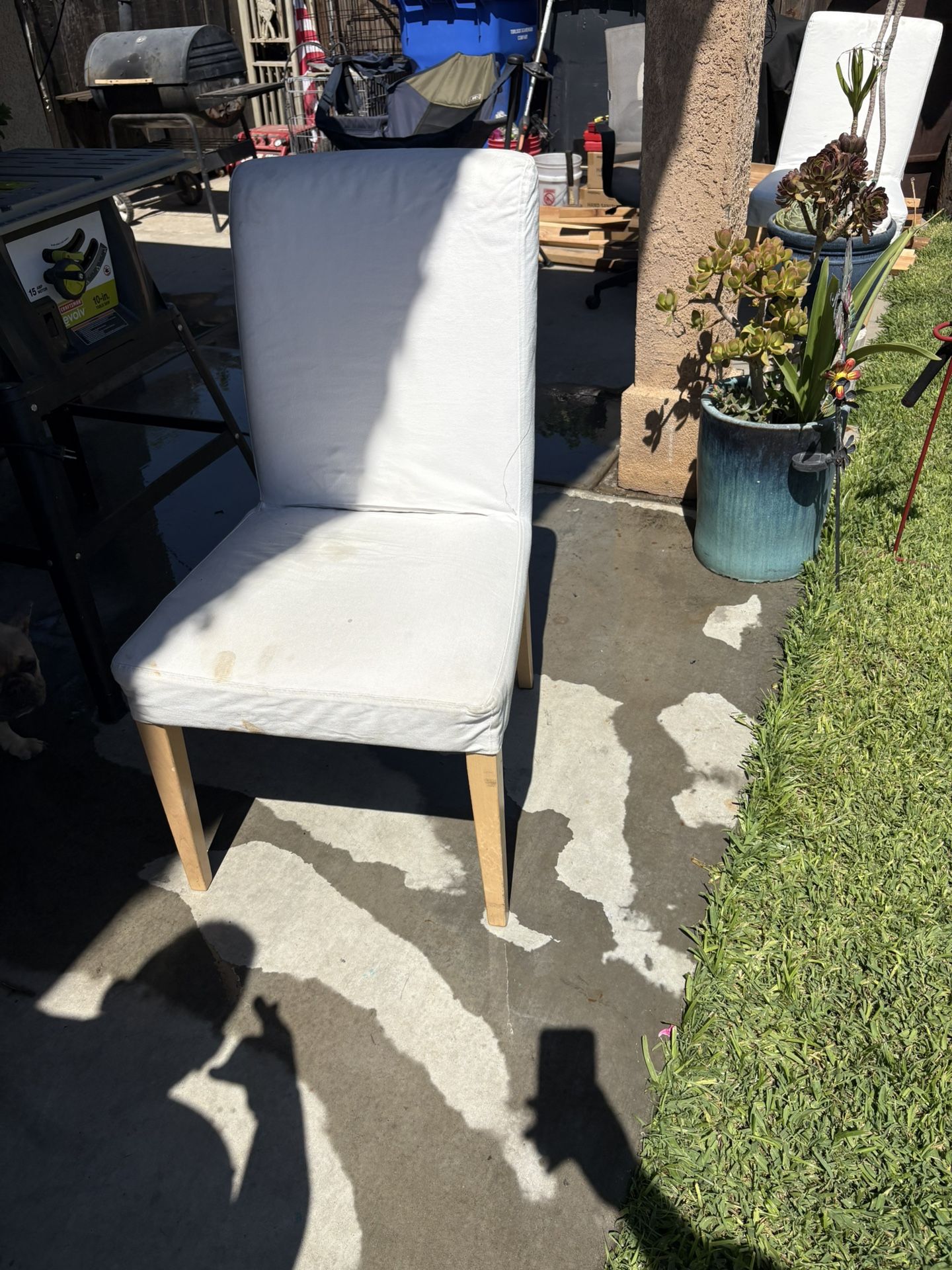 Free Chairs
