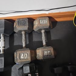 40 Lb. Dumbbells 