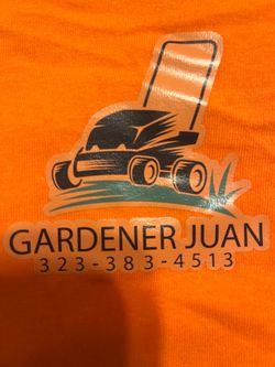 Juan Guerra