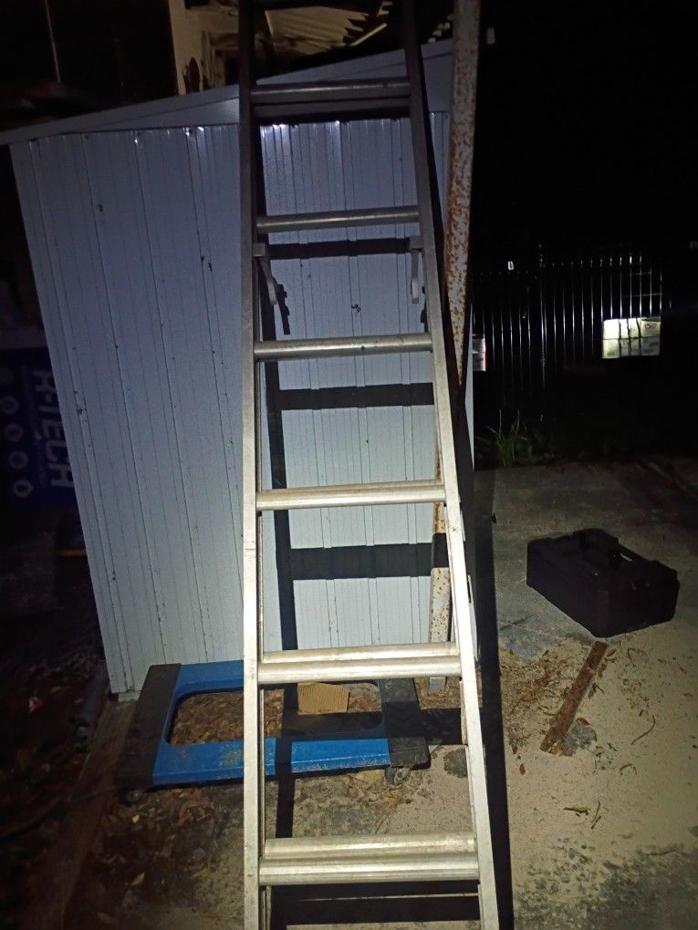 Werner 20' Ladder