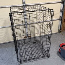 large dog kennel