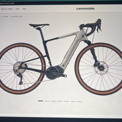 Topstone Neo Carbon Lefty 3 (Electric E-Gravel Bike with Full Suspension)