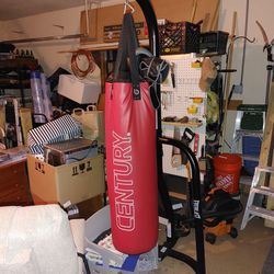 100 Lb Punching Bag With Gloves
