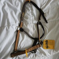 Carhartt Horse Halter Small Size