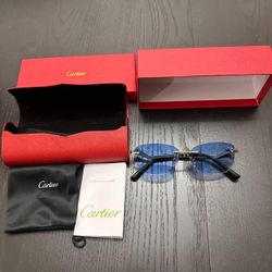 Cartier Men's Blue and Black Sunglasses
