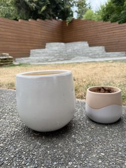 Flower Pots