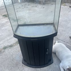 Fish Aquarium