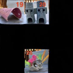 Aquarium Decorations