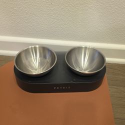 Dog Bowl