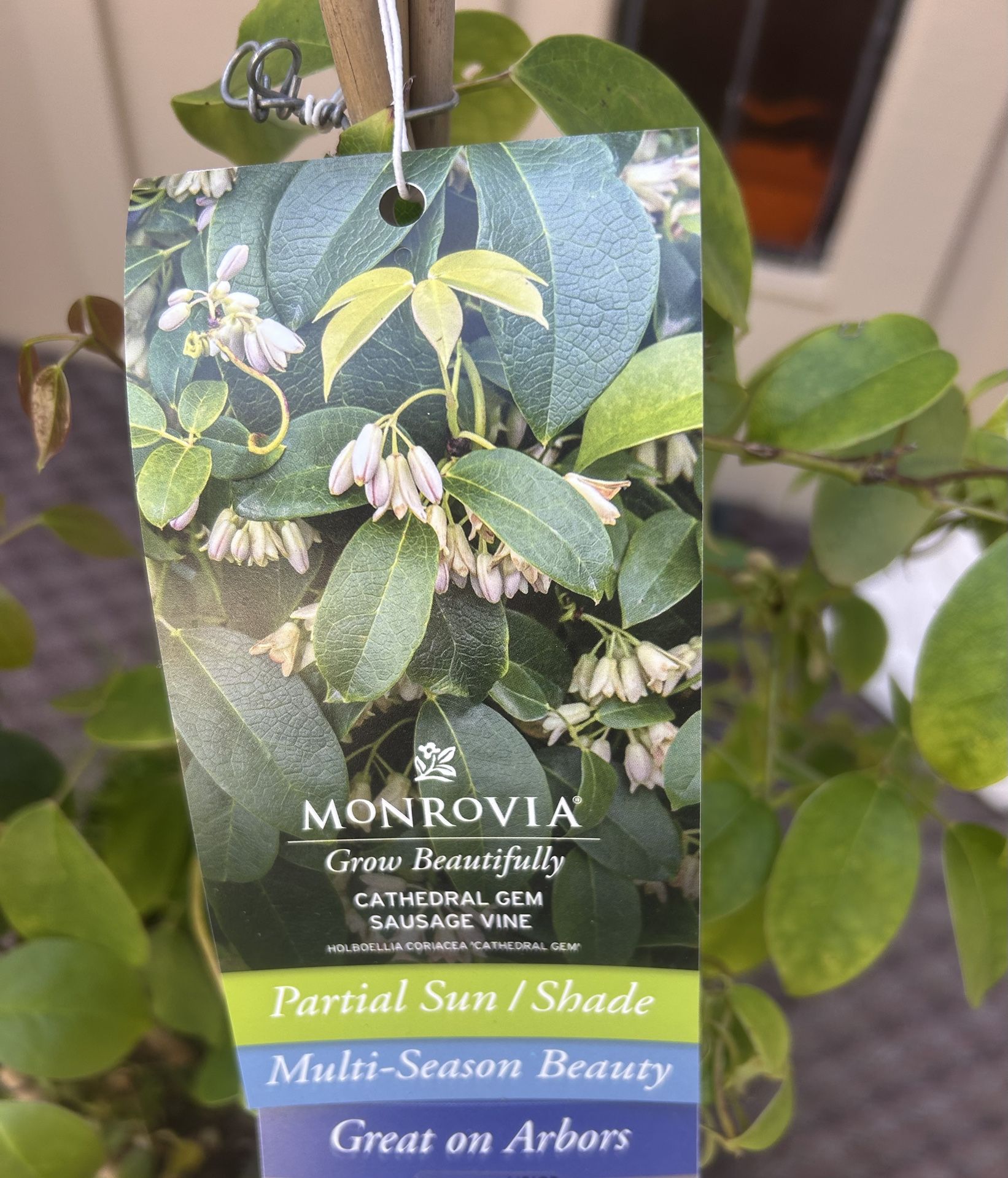 Monrovia Claiming Plant