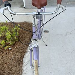 AVASTA Hybrid Bike for Adult