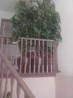 Fake house plants