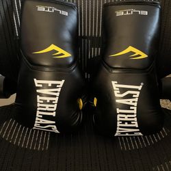 Everlast Elite Boxing Gloves 14oz