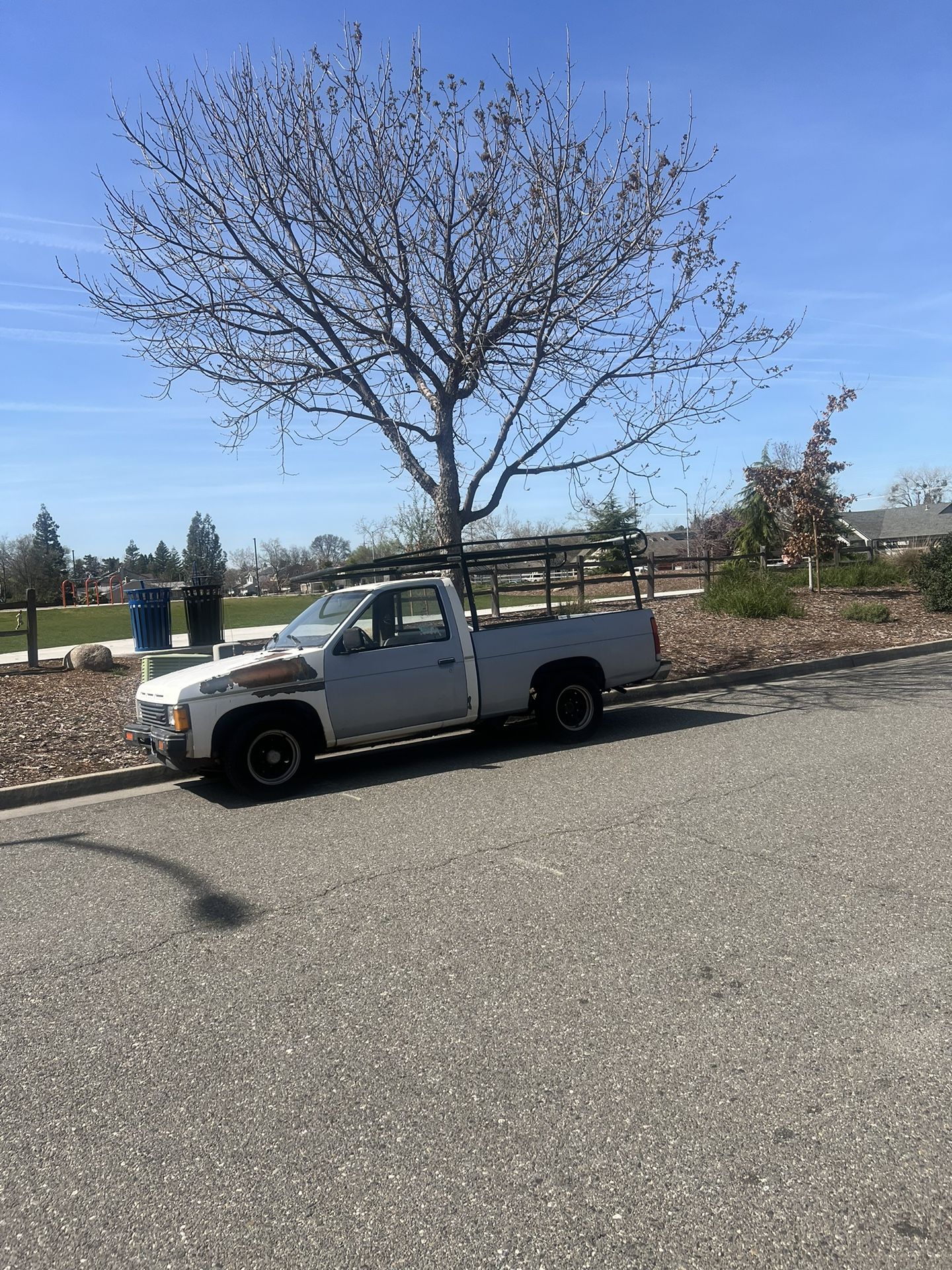 86 D21 hardbody