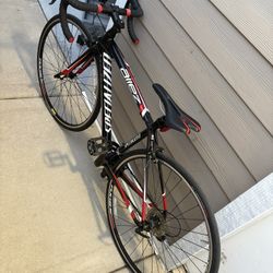 Secialized Bike 49cm