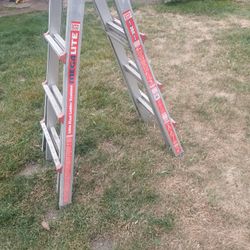 Little Giant Ladder 