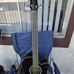 Acustic Bass/bajo Acustico