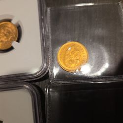 Gold Coins 