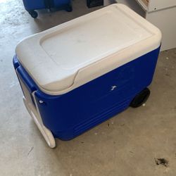 Coleman Cooler