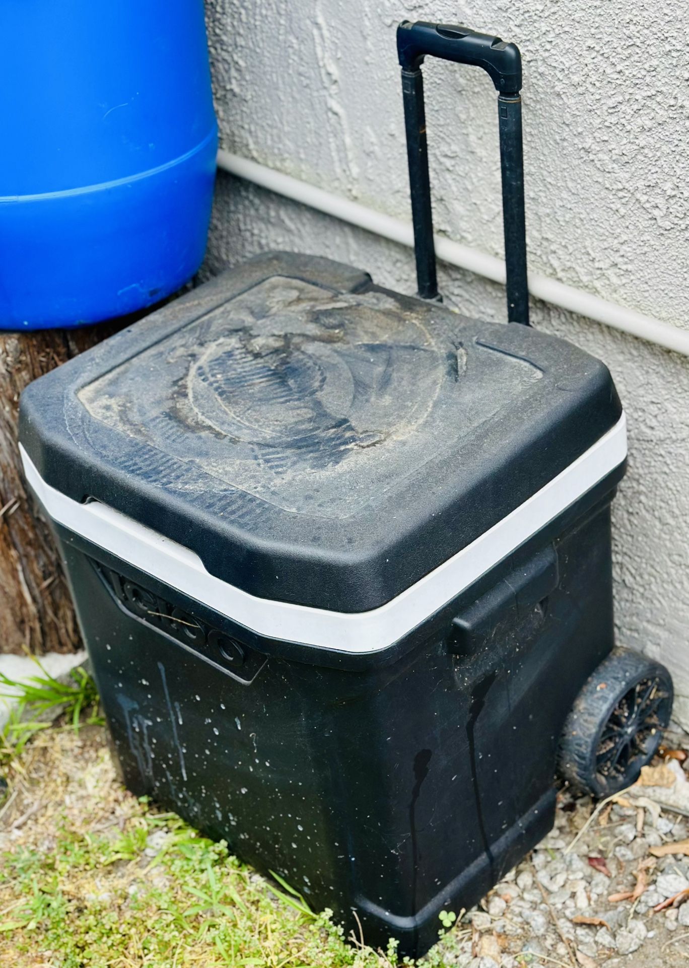 ECOCOOL Latitude 60 Qt Roller Cooler