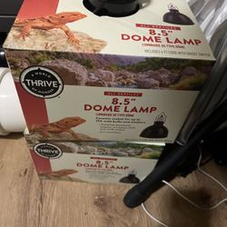 Reptile Lighting, Thermometer, Water Dish