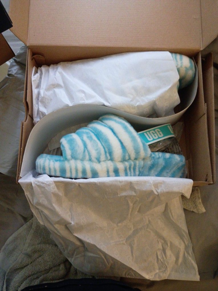 Blues Zebra Ugg Slides