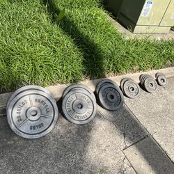 255 Pound 2” Olympic Weight Lifting Plate Set