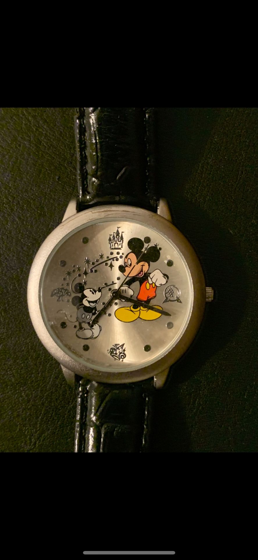 Disney Watch