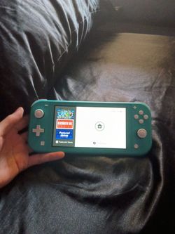 Switch lite tested works send offers