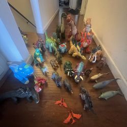 Dinosaurs Variety