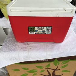Igloo Cooler