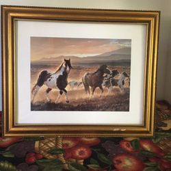 Wild Ponies Framed Glass